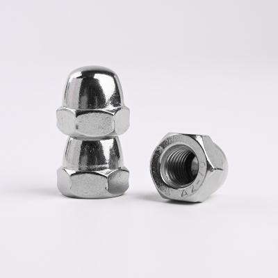 China Anticorrosive High Quality Wholesale Custom Cheap Furniture Nut DIN1578 Stainless Steel 304 Hexagon Cap Nut for sale