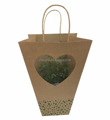 China Gift Wrapping Paper Bonsai Potted Plant / Flower Moisture Proof Carrier Bag With Windows for sale