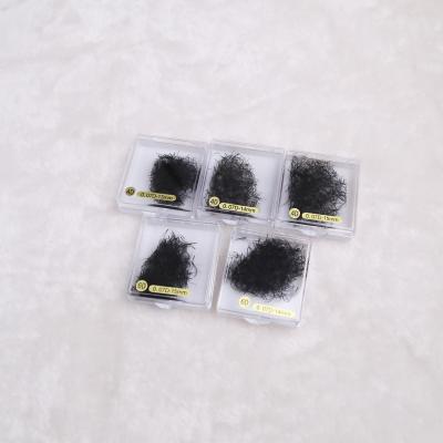 China Premade Delicate Bulk Fans 5D 10d Wholesale Loose Russian Volume Lashes 0.07 Extensions for sale