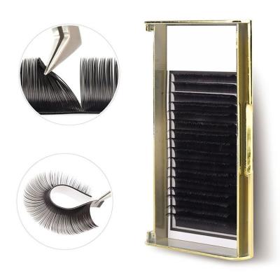 China Mink Eyelashes Extensions Professional Silk Sensitive whips Tray Label Classic Synthetic Hair Eyelash Extension Supplies Private natural for sale