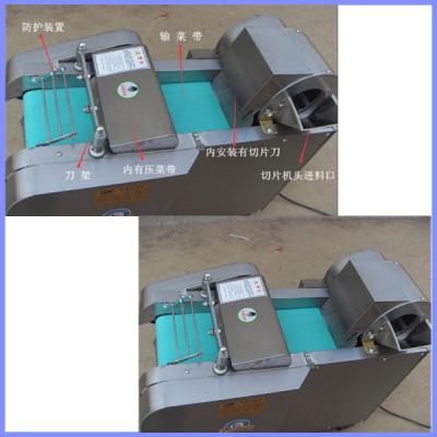 China scallion onion cutting machine ,cabbage cutting machine for sale