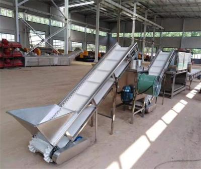 China garlic peeling line, garlic processing machines, garlic peeling machines for sale