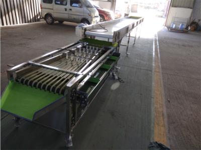 China small dates cherry waxberry plum grading machine, dates sorting machine for sale