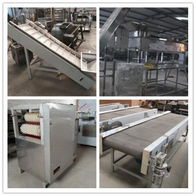 China peanut frying line, peanut frying machine, beans fryer, peanut oil roaster for sale