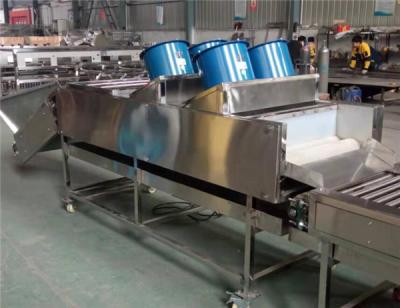 China apple orange lemon cleaning drying machine, potato washing drying machine for sale