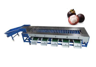 China Mangosteen grading machine , mangosteen sorting machine, mangosteen sorter grader for sale