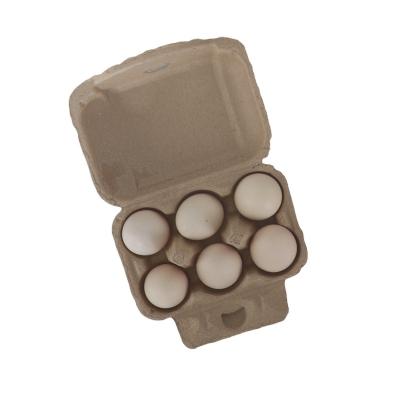 China Biodegradable manufacturers wholesale 6 pulp egg yolks cartons to make six shockproof eggs installed pulp molded pulp cartons for sale