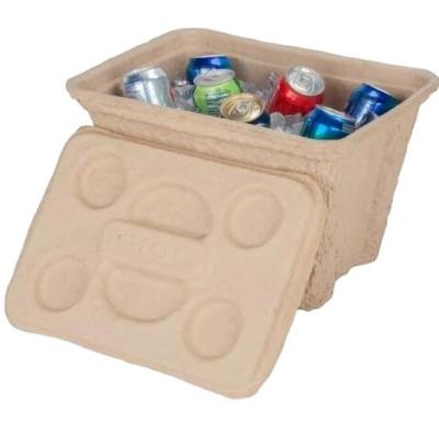 China 100% Biodegradable Vegetable Fruit/Beer Tray Pulp Tray Ice Cooler Chest Container for sale