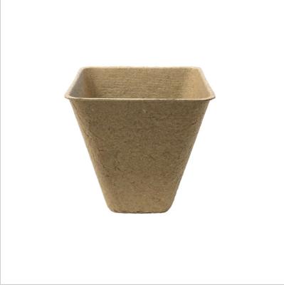 China Gardening & Planting Degradable 8cm Square Seedling Flower Horticultural Culture Grow Nursery Plant Garden Paper Cup Pot for sale