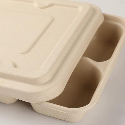 China Modern Hot Sale Disposable Degradable Lunch Boxes 3 Compartment Bento Food Storage Lunch Boxes Prep Containers for sale