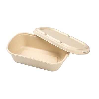 China Disposable Professional Biodegradable Sugarcane Bagasse Pulp Box Eco Friendly Bowl With Lids for sale