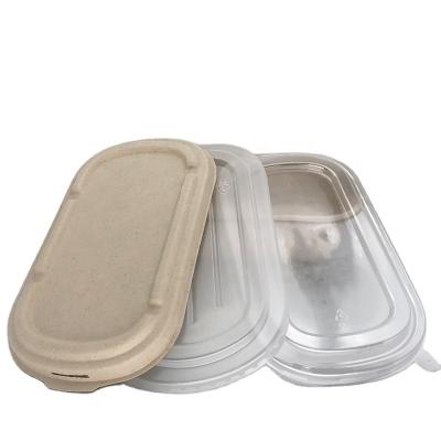 China Modern Biodegradable Sugarcane Pulp Containers Outlet Food Packaging Box for sale