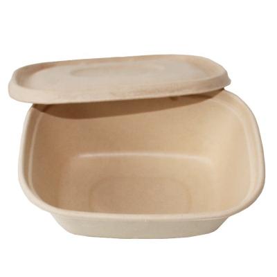 China 800Ml U Shape Modern Box Eco Friendly Food Cater Boxes Paper Food Containers 100% Food Grade Compostable Biodegradable Box for sale