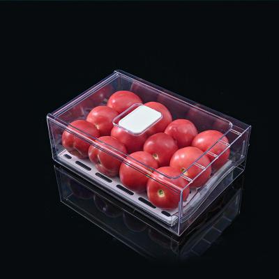 China Freshness Preservation Food Organization Box Large For Fridge Vegetable And Fruit Freezer Organizer Bins for sale