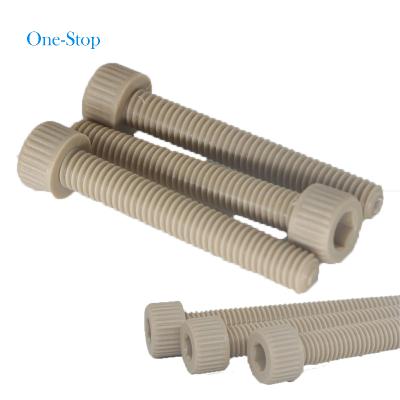 China Wholesale Plastic Pan High Performance Interference Screws Peek OEM Heat Resistant Screw In Peek for sale