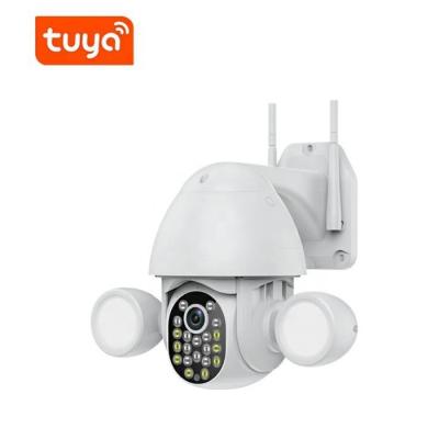 China Hot Sales Human Motion Path 2.5 Inch Outdoor Tuya Smart 3.0MP Dual Lighting Courtyard Wifi Camera for sale