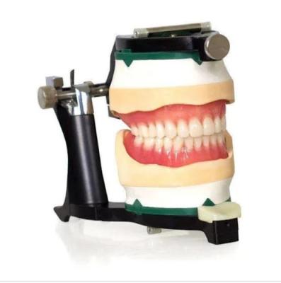 中国 SJ Dental Lab Equipment Small Adjustable Denture Magnetic Articulator High Quality Dental Articulators 販売のため