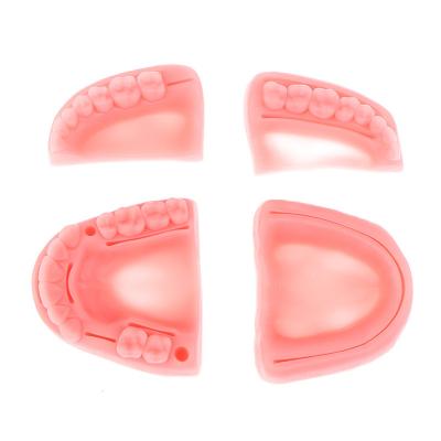 中国 SJ Teeth Suture Practice Dental Suture Pad Oral Models Gum Suture Model for Student Dental Lab Practice 販売のため