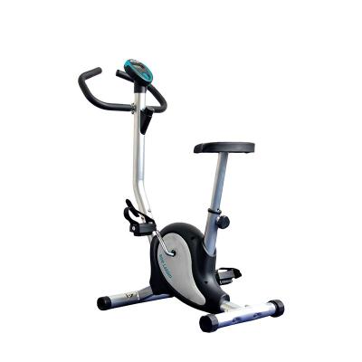 China SKL-5139 Home Use Indoor Home Sports Cycle Trainer Gym Flywheel Spinning Bike Bicycle Spinning for sale