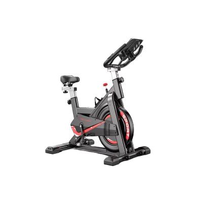 China Home Wholesale Indoor Fitness Master Gym Equipment Resistance Spinning Bike SKL-5113 for sale