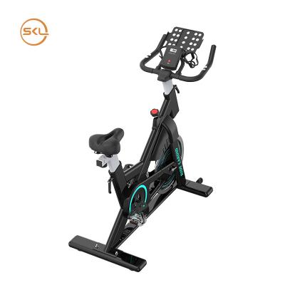 China Home Use Fitness Smart Stationary Indoor Magnetic Exercise Bike Spinning Recycling Bike SKL-5133 for sale