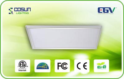 China 300×1200mm High Efficiency Indoor LED Wall Lights For Hotel , IP50 Square LED Panel Light for sale