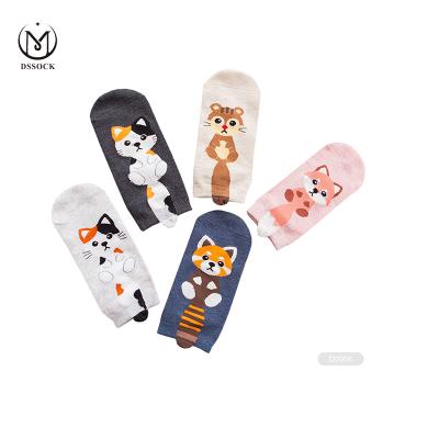 China QUICK DRY cat socks DS D023 for sale