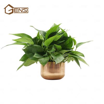 China Eco - Friendly Custom Shaped Home And Desktop Mini Flower Pots for sale