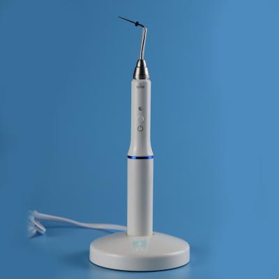 China Metal Dental Root Canal Heated Cordless 2 Needles System Gutta Percha Obturation Endodontic Pen for sale