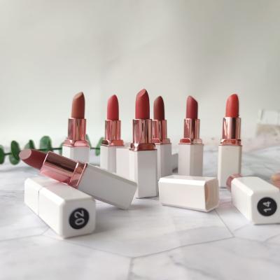 China Custom Sunscreen Private Label Long Wearing Waterproof Red Matte Lipstick Natural Vegan for sale