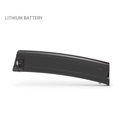 China 18650 48v 10ah Lithium Ion Electric Bicycle Battery Pack Long Cycle for sale