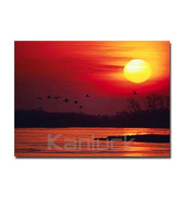 China Modern Sunset Pictures Giclee Print On Canvas / Landscape Photographic Print Wall Art for sale