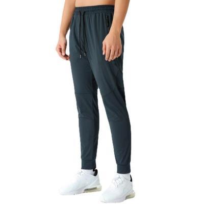 China Anti-wrinkle stock high quality nylon spandex 160g ice ion available fast delivery non iron mens long pants for sale