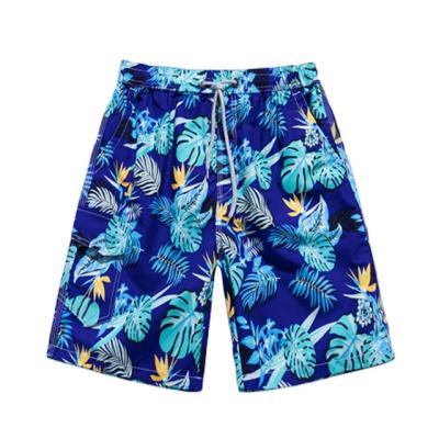 China Sustainable Mens Beach Shorts Board Pants Quick Dry Casual Knee Length Large Size Loose Summer Shorts Big Men Shorts for sale