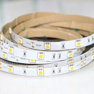 China smd3528/5050 flexible 12v/24v solar led rope lights 5000mm x 12mm (Non-waterproof) for sale