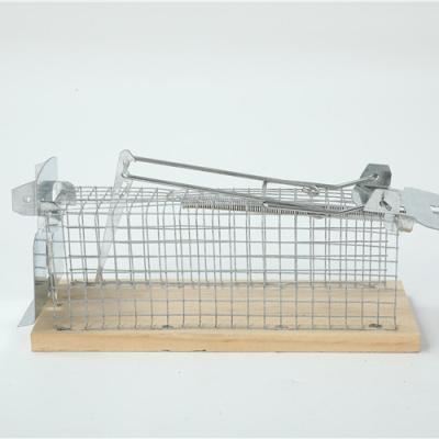 China Viable Wholesale Premium Durable Pest Control Iron Cage Mouse Trap Material Cage for sale