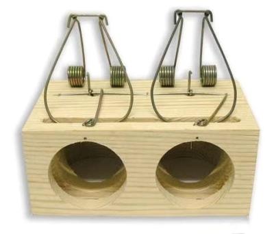 China Viable Humane Rodent Killer Wooden Mouse Snap Cage With Two Holes Effective And Sensitive Rat Catcher For Mouse Control for sale