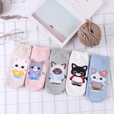 China Antibacterial Lovely Cute Soft Ankle Socks 3d Cartoon Rabbit Bear Cotton Animal Low Cut Socks for sale