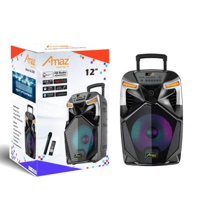 China No AMAZ Customized 12 Inch Portable Cart Speakers With Led Light for sale