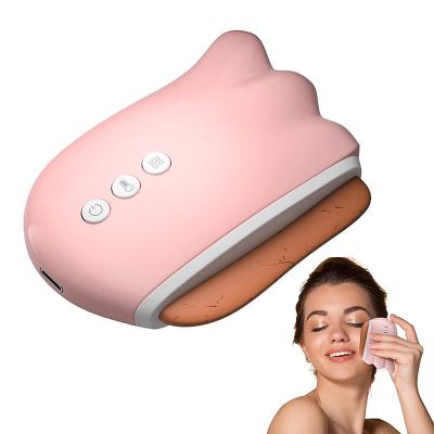 China Electric Gua Sha Massager Set Bian Stone Gua Sha Tool Private Label Face Body Massager Anti Aging Lifting for sale