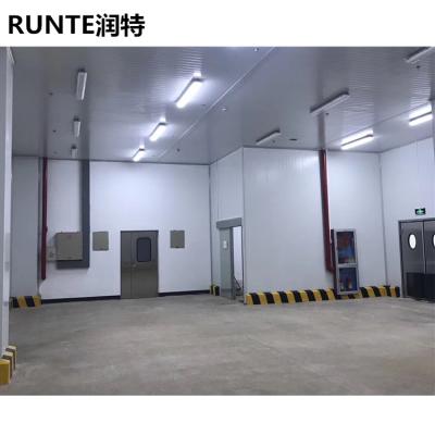 China Industrial Cold Room and Freezer Room Blast Freezer Runte Cool Rooms Container Walk In Refrigeration Unit Cold Storage for sale