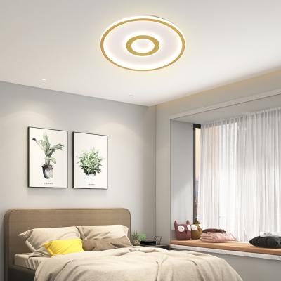 China Modern Fancy Ceiling Lamp Modern Decorative Indoor Lighting Luxury Contemporary Ceiling Led Indoor Lighting Fixtures for sale