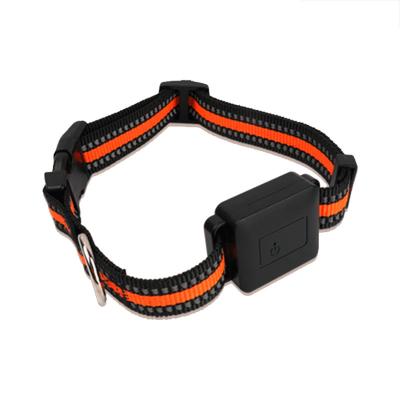 China Stocked Pet Supplies Dog Collar Cat Pet Supplies Cat Accessories Adjustable Buckle Collar Small Dog Collar for sale