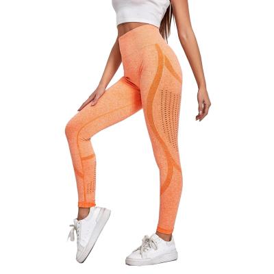 China Women's Hollow-out High Waist Sports Gaiters Antibacterial Solid Seamless Fitness Gaiters for sale