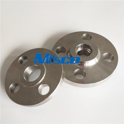 China As flanges de aço inoxidável da polegada SCH10S de F316L 150# 1/2 conduzem os encaixes à venda