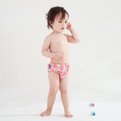 China Happyflute Graphene 3 SIZE Printed Inner Swim Diaper For Baby First Steps Reusable Washable Diaper For Swimming Lesson for sale