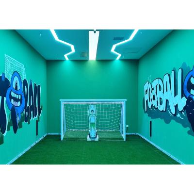 China AI AI Soccer Factory Outlet Indoor Soccer Party For Goalkeeper Low Price Adult Super Fitness Exercise Equipment for sale