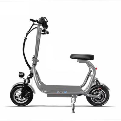 China Electric Mobility Scooter 250w Long Steel Wheels Travel 2 Steel Wheels Electric Vehicle Scooter With Seat for sale