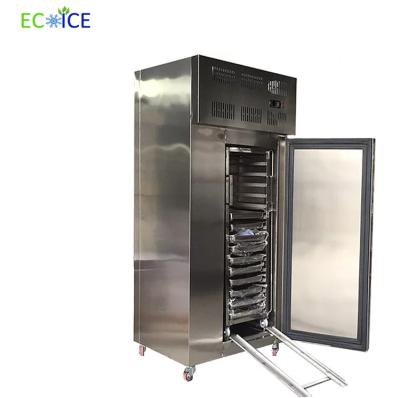 China Frozen Foods Freezer Cabinet Small Shock Quick Blast Deep Freezer Commercial for sale