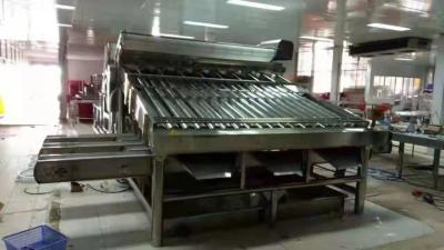 China 1Ton-5Ton Fish / Shrimp Grading Machine Shrimp/Fish Sorting Machine for sale